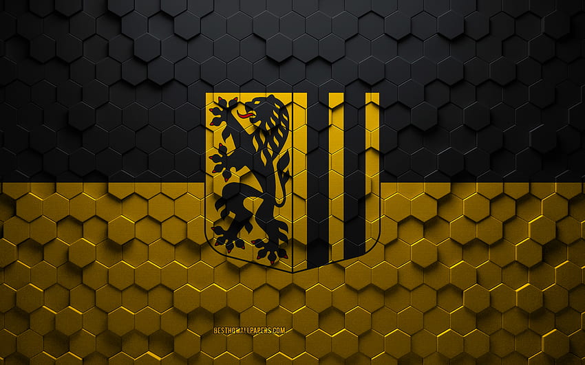 Bendera Dresden, seni sarang lebah, bendera segi enam Dresden, Dresden, seni segi enam 3d, bendera Dresden Wallpaper HD