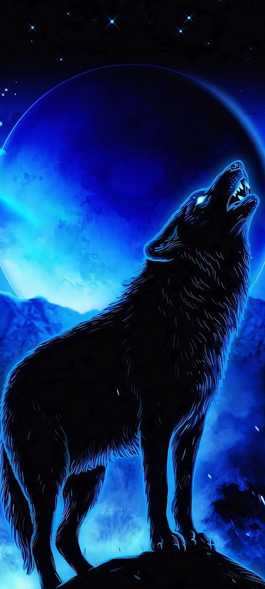Wolf, terrestrial animal, electric blue HD phone wallpaper