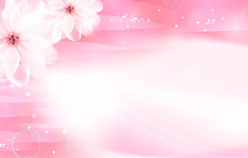 flores, rosa, Sakura para, seção текстуры - papel de parede HD