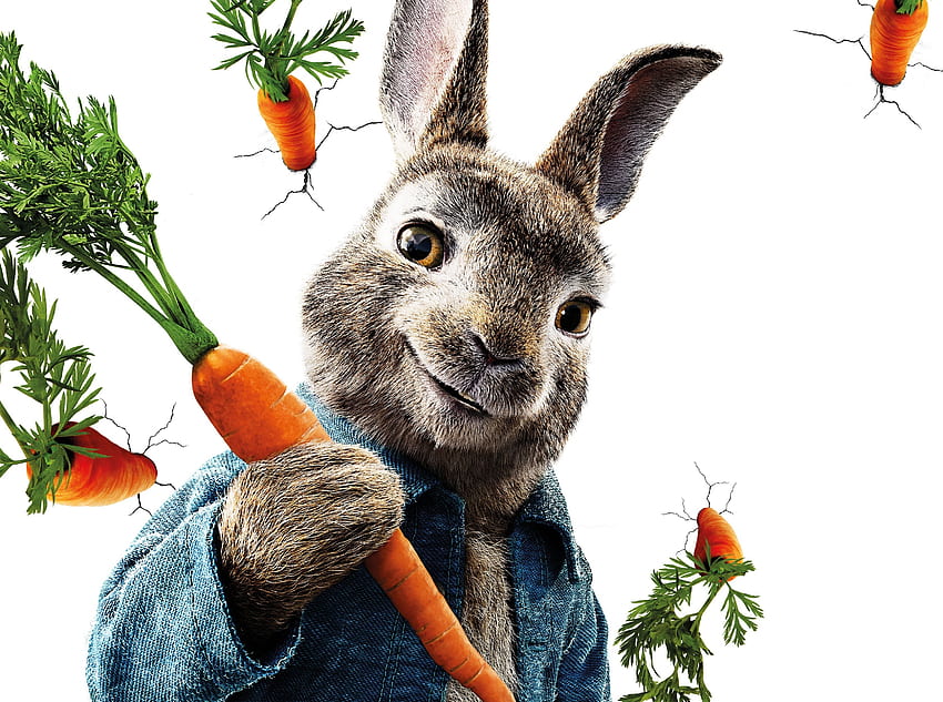 Peter Rabbit, película de animación, Conejo, 2018 fondo de pantalla