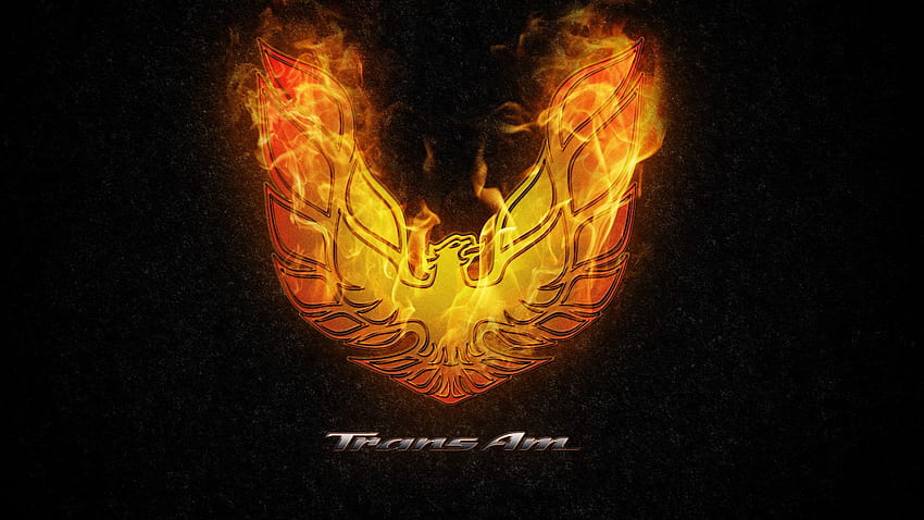 L'uccello di fuoco, logo Pontiac Sfondo HD