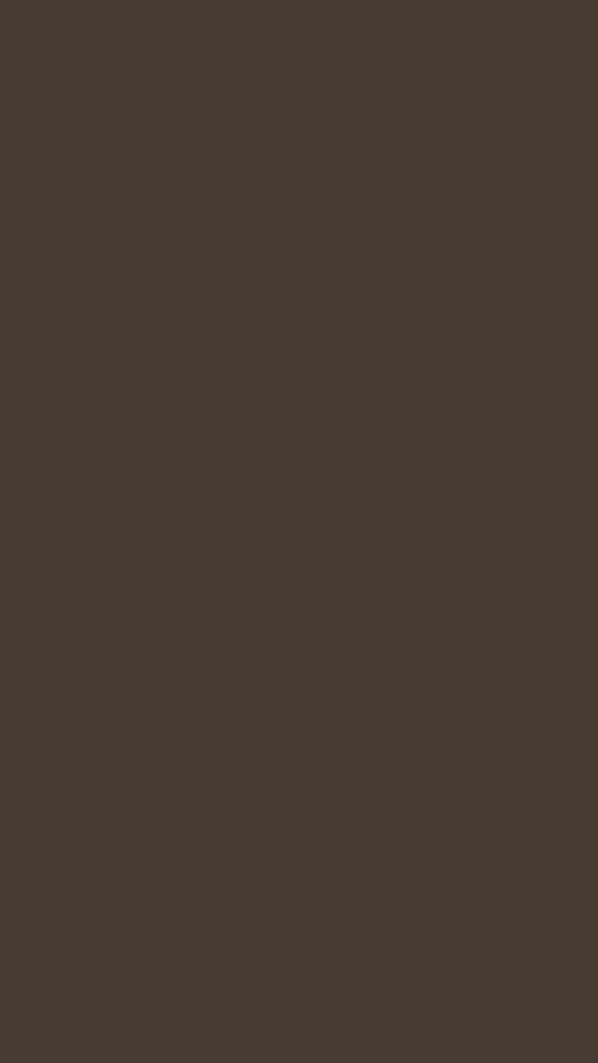 Taupe Solid Color Background for Mobile Phone, Solid Brown HD phone wallpaper
