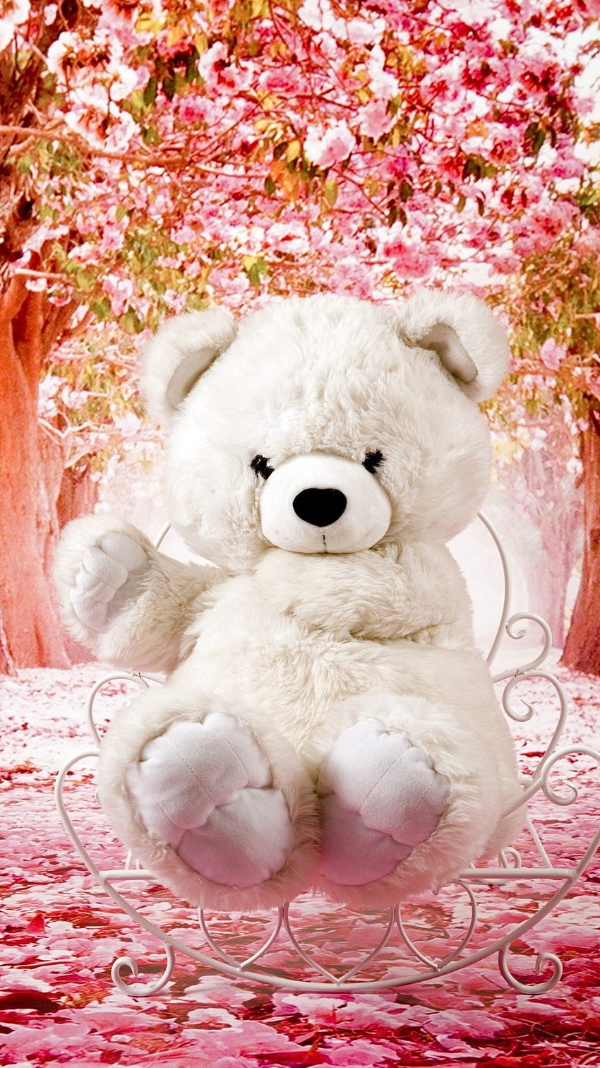 Beautiful Teddy Bear, White HD phone wallpaper