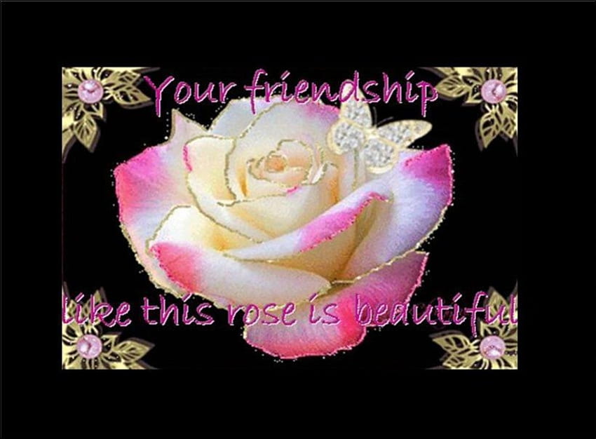 Like this rose, two toned rose, saying, butterfly, pearl, friendship HD wallpaper