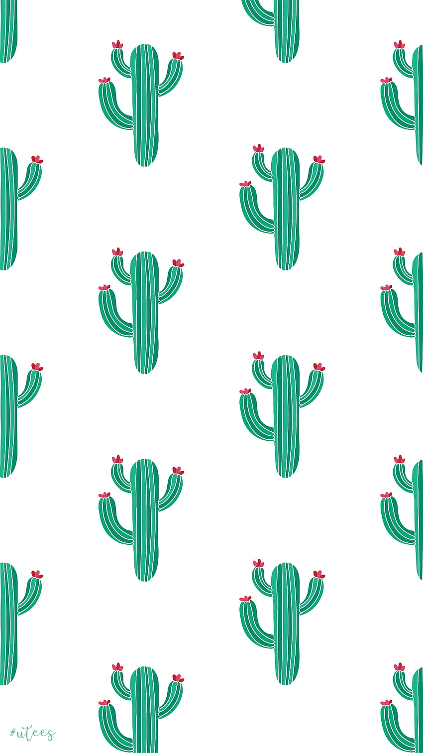 Cactus .. Доклад за тенденциите за март 2021 г. Сладък за телефон, Сладки шарки, Сладък, Готин кактус HD тапет за телефон