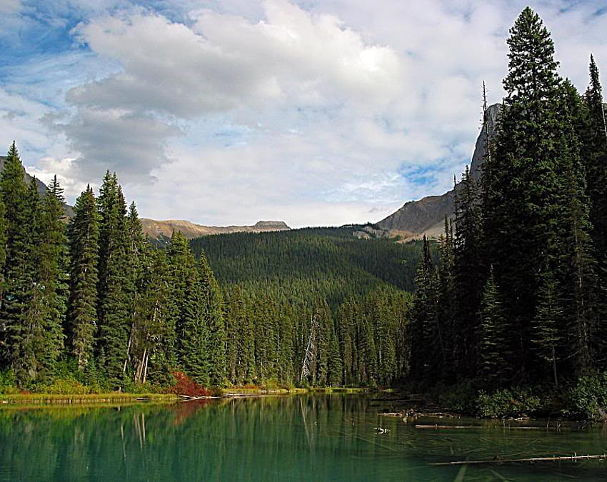Park Narodowy Emerald Lake Yoho, Kanada, drzewa, niebo, woda, jezioro Tapeta HD