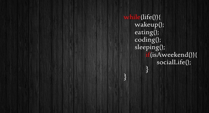 Life, programming code text HD wallpaper
