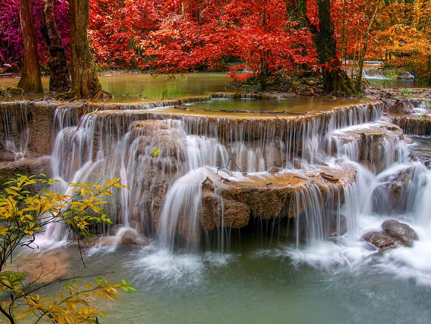 Waterfall, Autumn, Red leaves, River, Trees HD wallpaper
