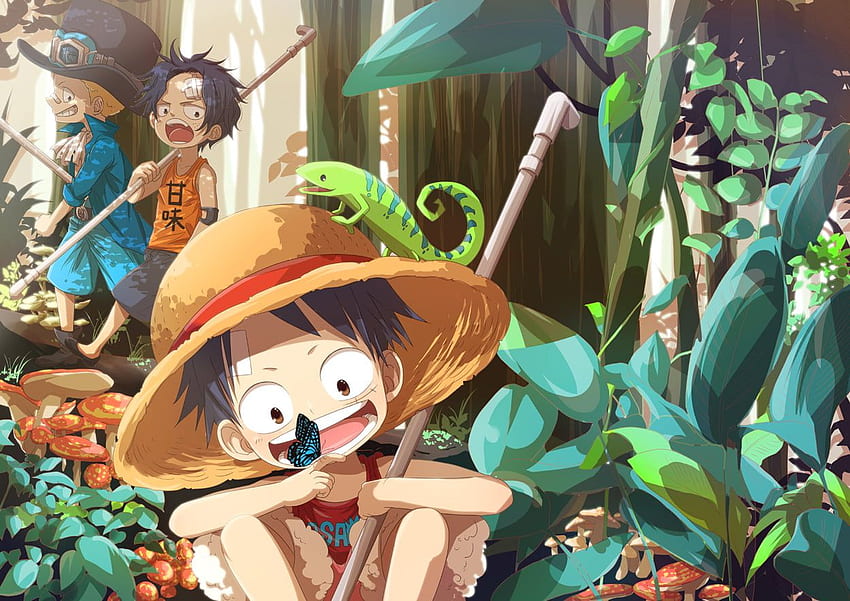 One Piece Luffy, Ace и Sabbo One Piece Monkey D. Luffy HD тапет