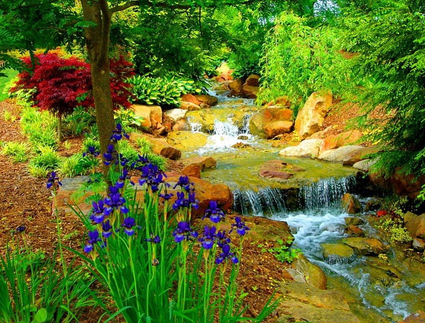 Красив водопад, синьо, река, зелени дървета, скали, дърво, зелено, червено, водопад, цветен пейзаж, природа, цветя, гора HD тапет