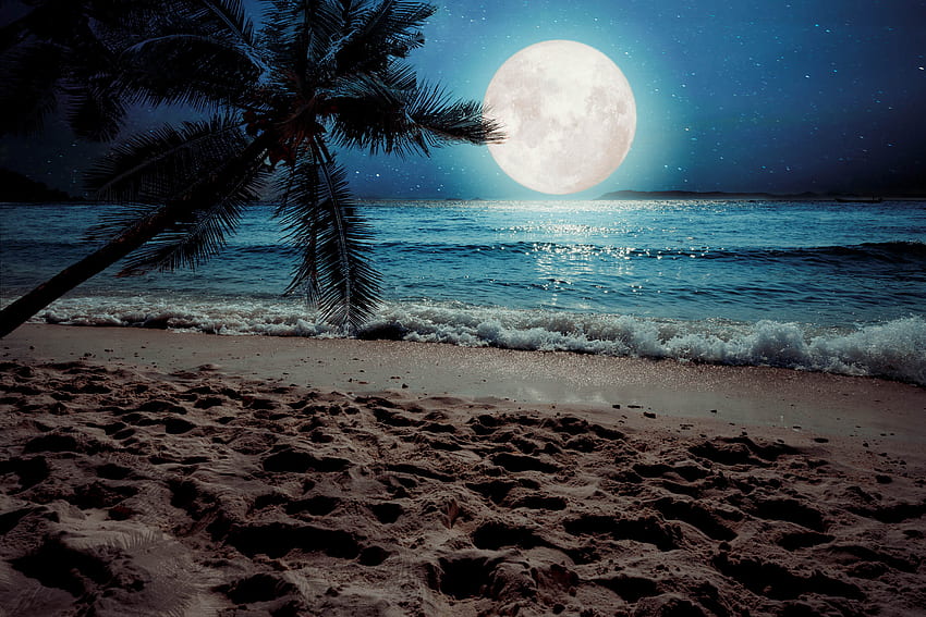 My Moon Night New Tab, Night Moon HD wallpaper | Pxfuel