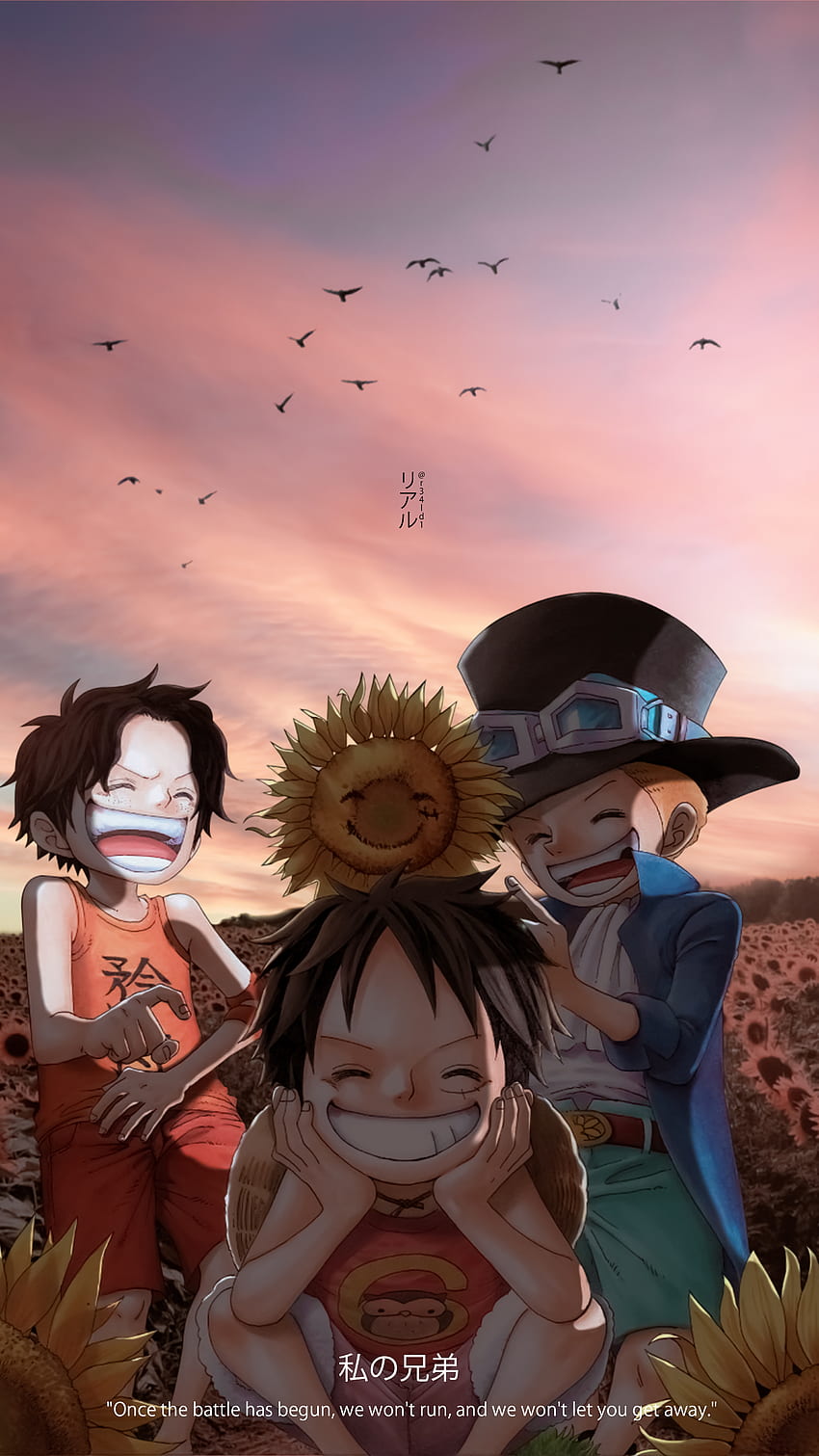 Top với hơn 69 về hình nền ace sabo luffy - cdgdbentre.edu.vn