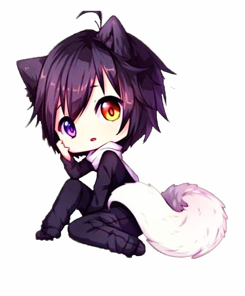 Anime Wolf Chibi , Cute Wolf Boy Anime HD phone wallpaper | Pxfuel