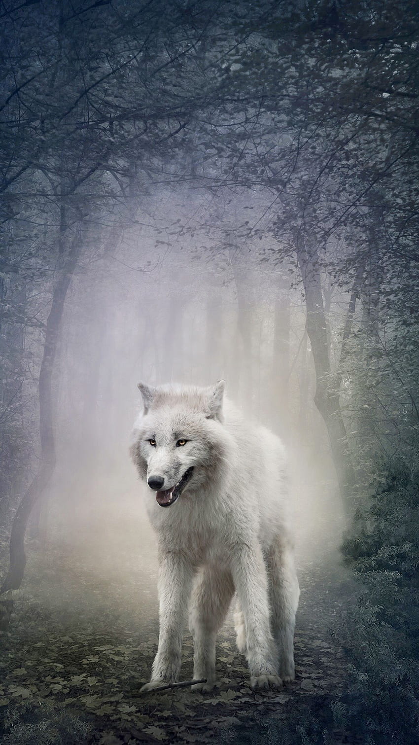 White Wolf - Awesome, Cool White Wolf HD phone wallpaper | Pxfuel