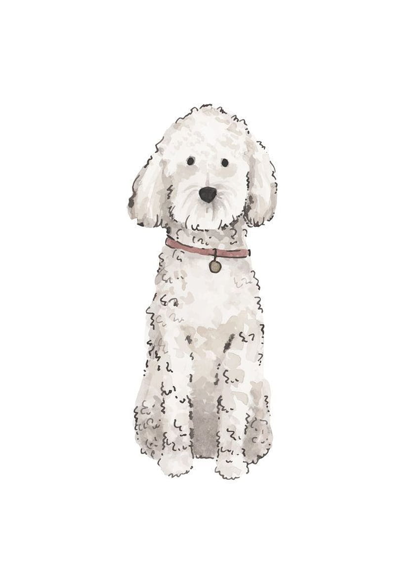 Goldendoodle, Dog Illustration HD phone wallpaper