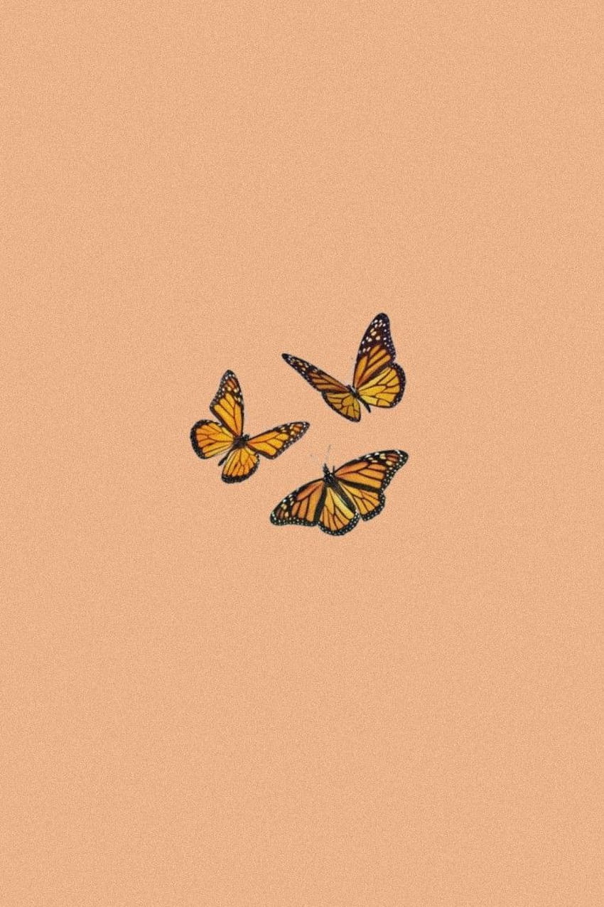 Aesthetic iphone in 2020. Aesthetic iphone , Butterfly iphone, Butterfly, Orange Butterfly HD phone wallpaper