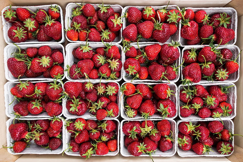 Food, Strawberry, Berries, Ripe, Harvest HD wallpaper