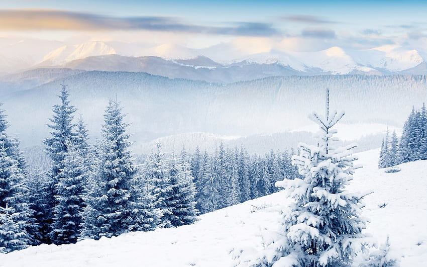 panorama 1 panoramic 1 scenery 1 scenic 1 snow 1 vista 1 winter . HD wallpaper