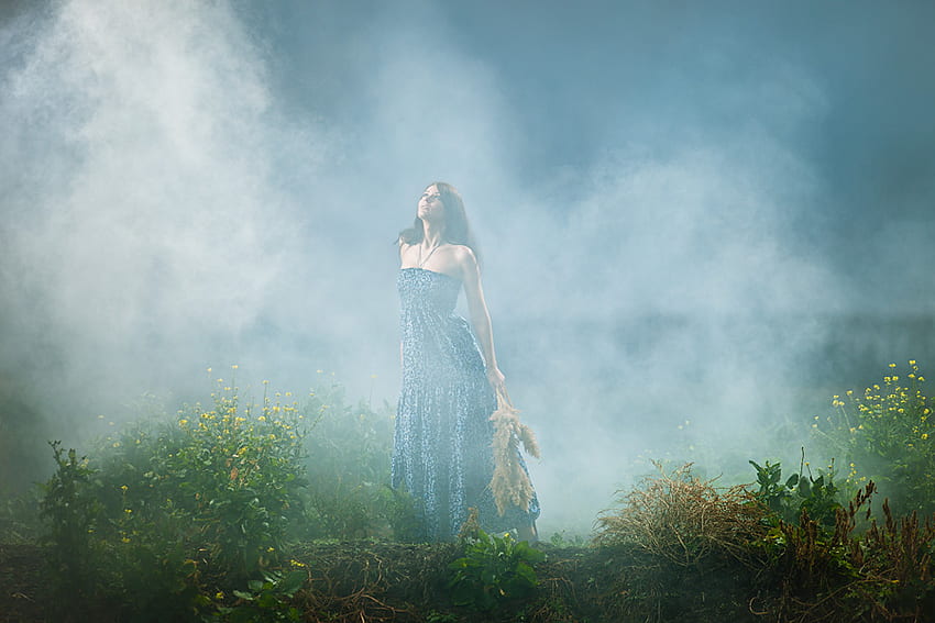 In the Mist of Memories.., mist, fairy, beautiful, flowers, girl, lovely, forest HD wallpaper