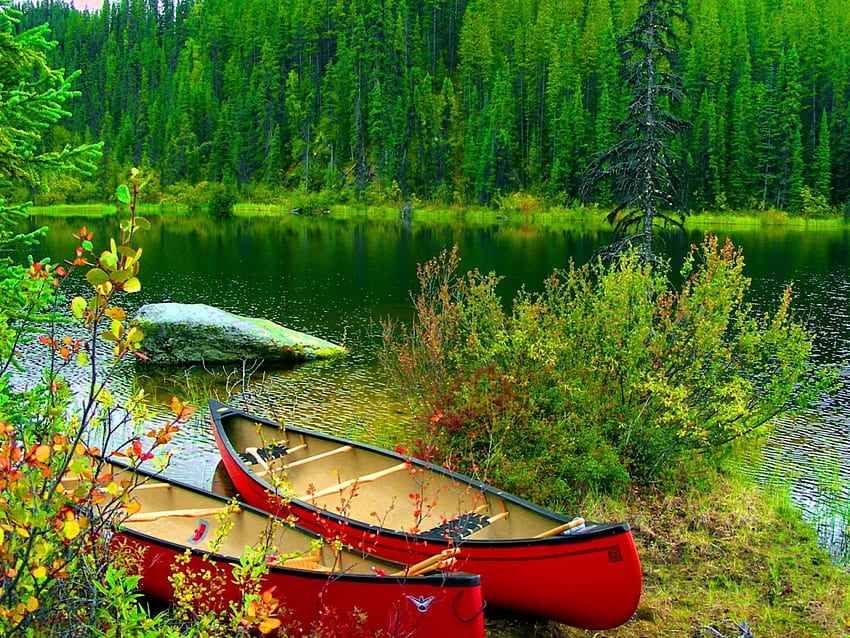 湖畔のボート、青、川、湖岸、植物、銀行、平和、海岸、反射、ボート、木、緑、穏やか、茂み、美しい、草、湖、エメラルド、鏡、緑、放棄、赤、自然、川岸、 静けさ、流れ 高画質の壁紙
