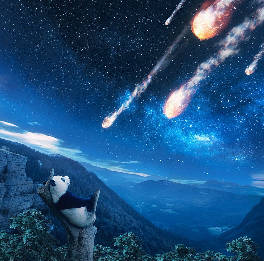 Last day on Earth, anttoni salminen, blue, fantasy, bear, asteroid, sky, panda HD wallpaper