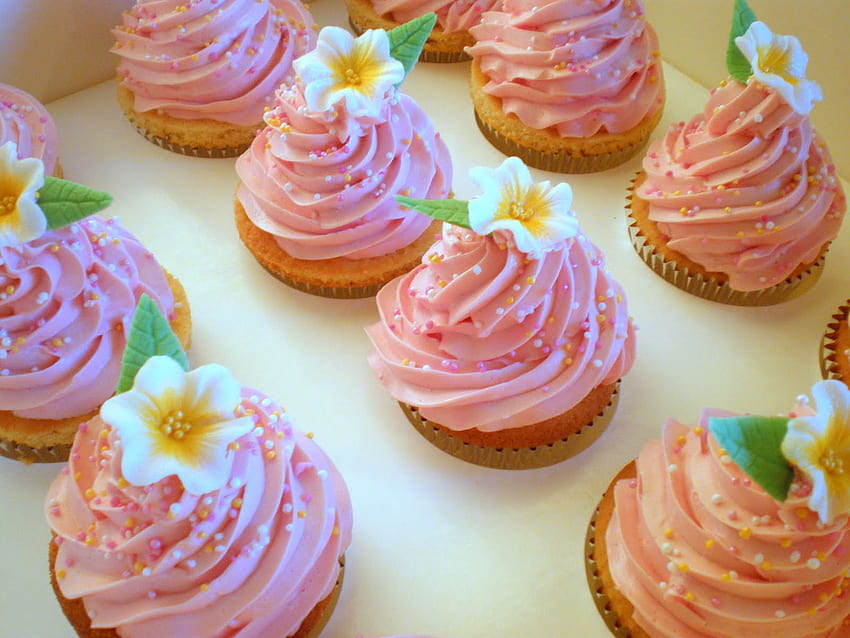 Cupcakes, rosa, bollos, flores, comida, pastel. fondo de pantalla | Pxfuel