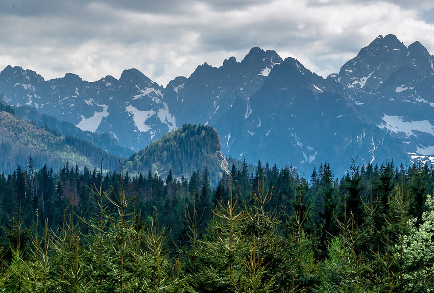 Doğa, Dağlar, Polonya, Tatras HD duvar kağıdı