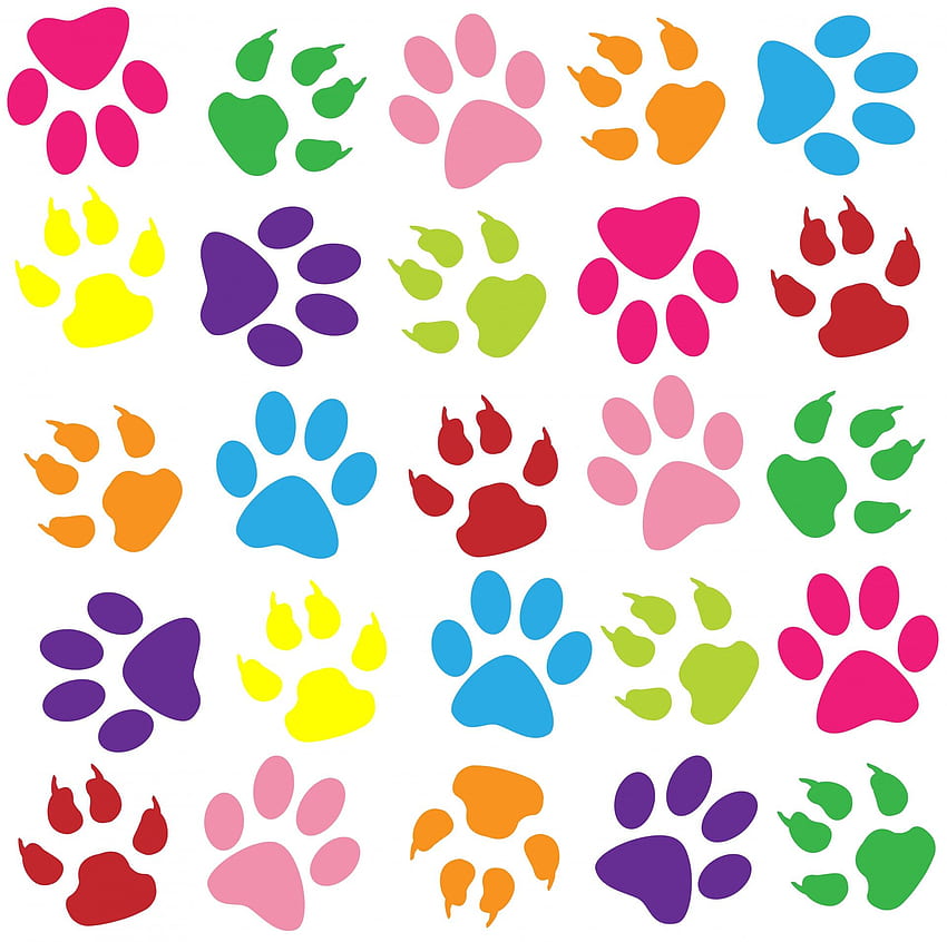 Dog paw print, Dog Pattern HD wallpaper