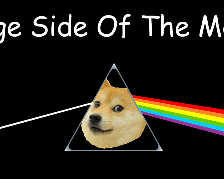 Doge, Doggo Meme HD wallpaper