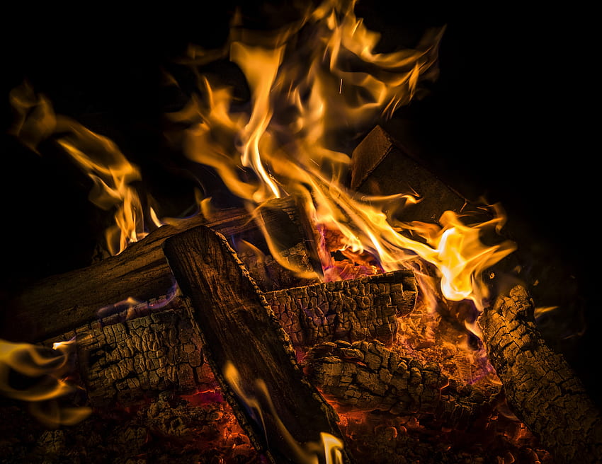 Bonfire, Coals, , , Firewood, Ash HD wallpaper