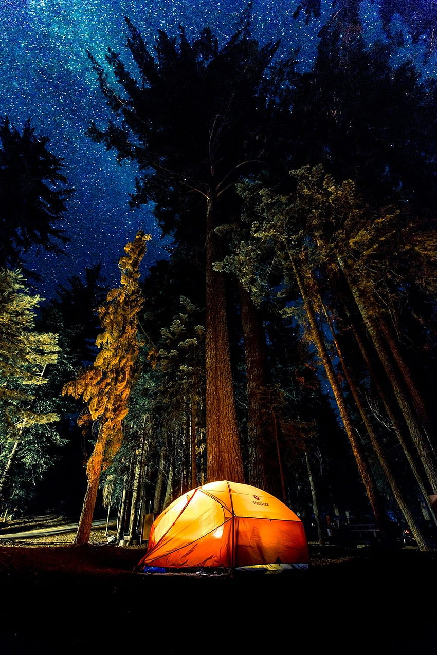 camping in forest during nightime – Camping, Campground HD phone wallpaper