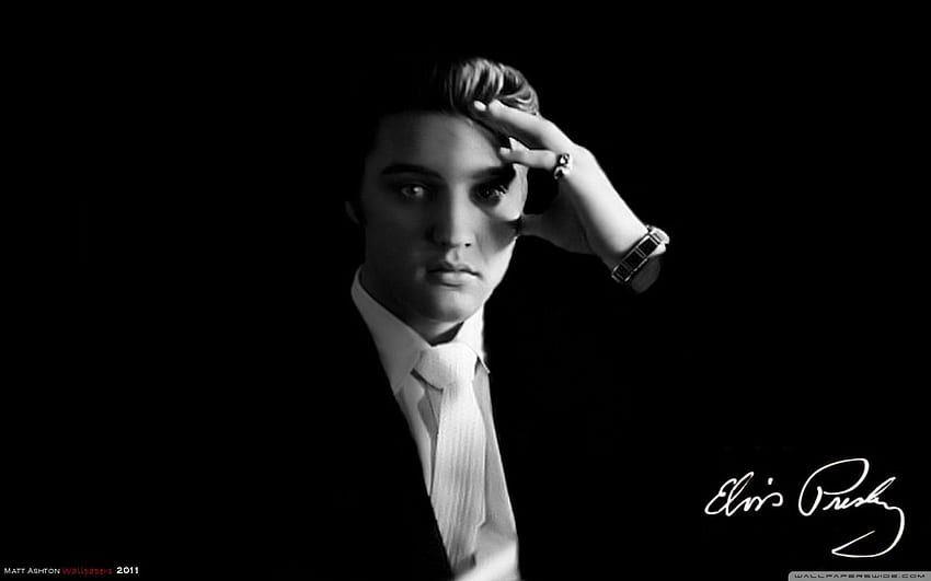 Elvis . Elvis Presley . Elvis HD wallpaper