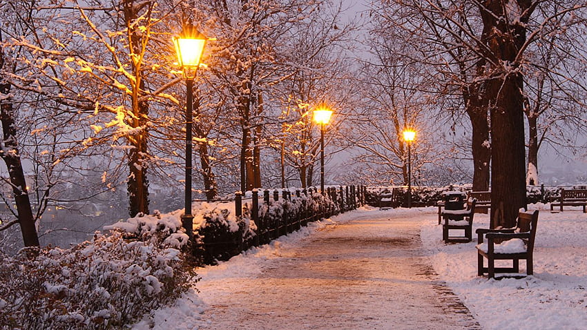 체코 브르노 자연 겨울 눈 공원 벤치, 1366 X 768 겨울 HD 월페이퍼