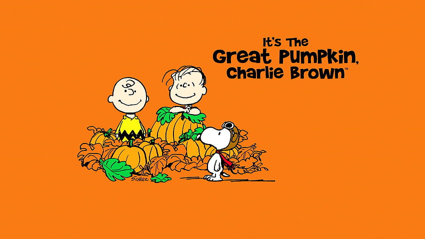 Its the great pumpkin charlie brown Cute fall  Fall  Halloween  background Peanuts Halloween iPhone HD phone wallpaper  Pxfuel