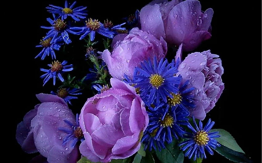 Purple Bouquet, BEAUTY, FLOWERS, NATURE, BOUQUET HD wallpaper