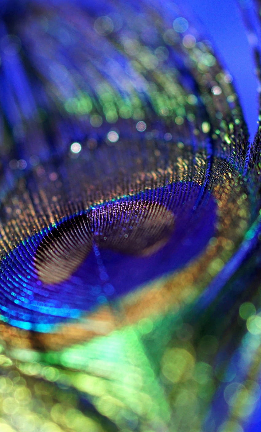 Peacock, Plumage, Feather, Colorful, Close Up, Bokeh - Peacock Feather For Mobile, Colorful Feather HD phone wallpaper