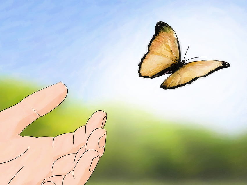 노란 나비 2 나비를 돌보는 독특한 방법 HD 월페이퍼