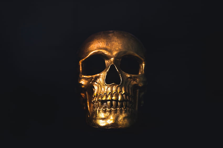 Gold, Dark, Shine, Brilliance, Skull, Ornament HD wallpaper