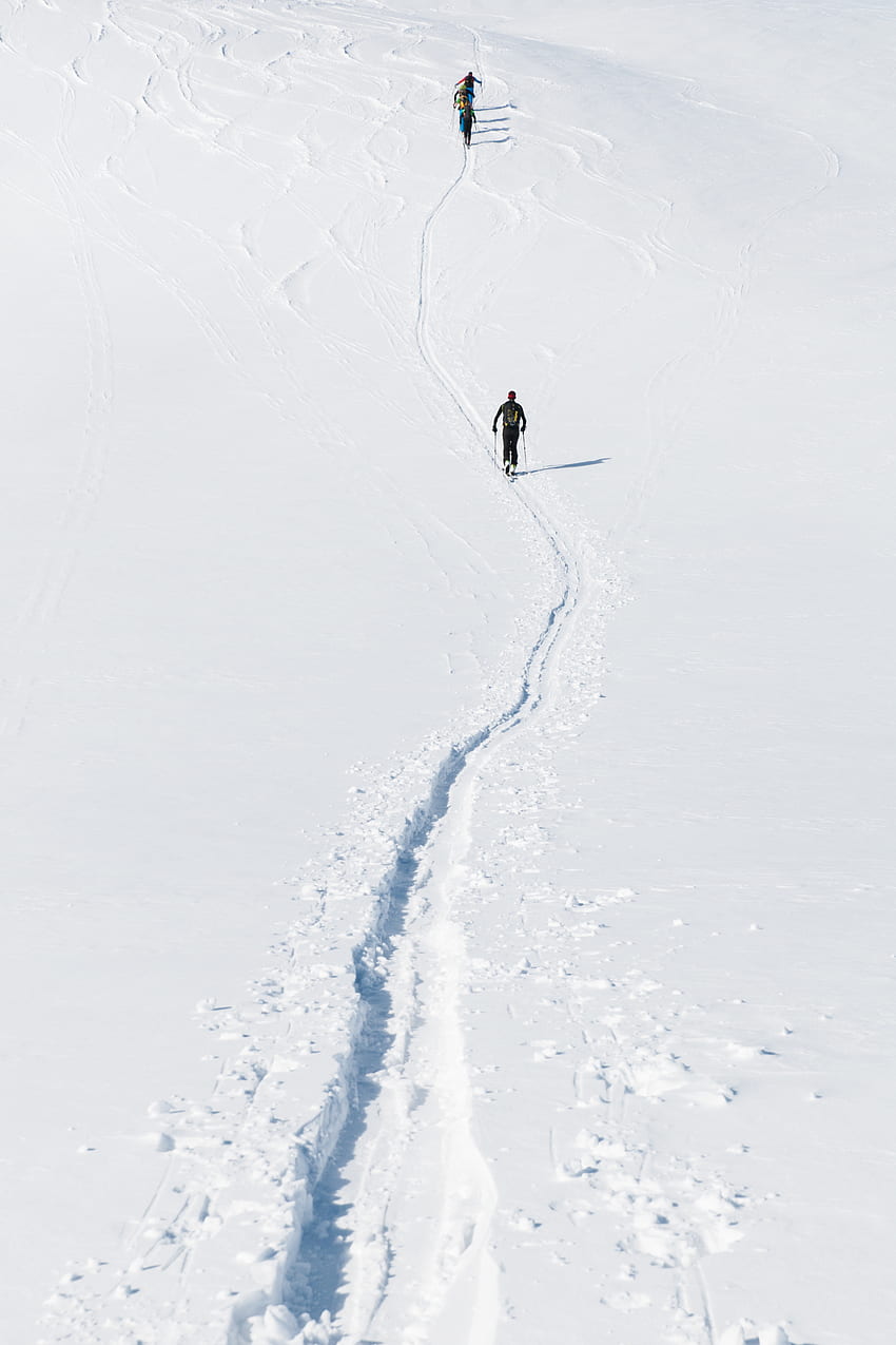 Sport, neve, montagna, percorso, sciatori Sfondo del telefono HD