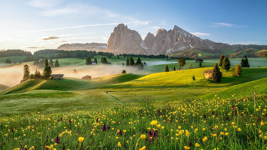 Alpe di Siusi, Tyrol Selatan, Italia, batu, pegunungan Alpen, gunung, pohon, lanskap, bunga Wallpaper HD