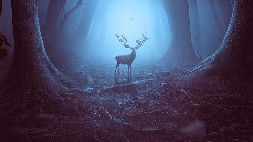 In den Wald, Rentiere, Wildtiere, Kunst HD-Hintergrundbild