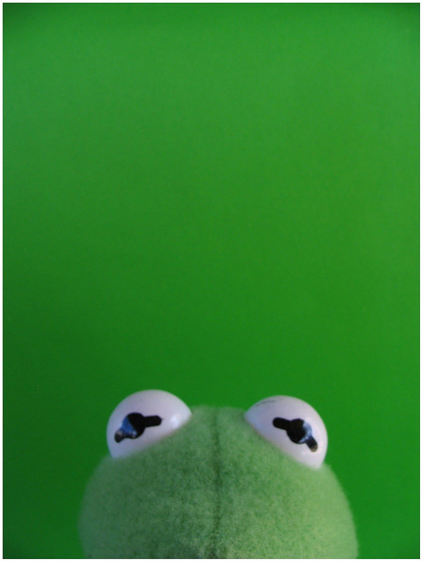 Green Kermit The Frog, Supreme Kermit the Frog HD phone wallpaper