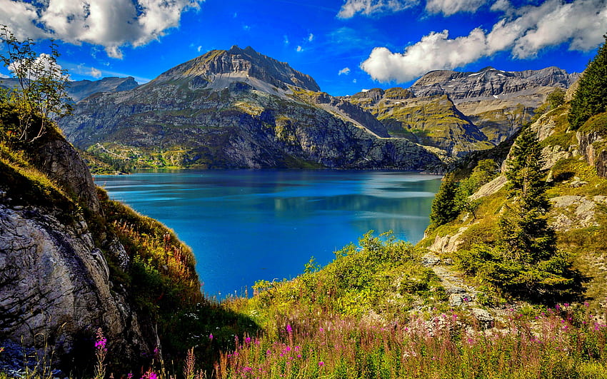 Italian Alps, Italia, Alps, wildflowers, view, beautiful, sky, lake ...