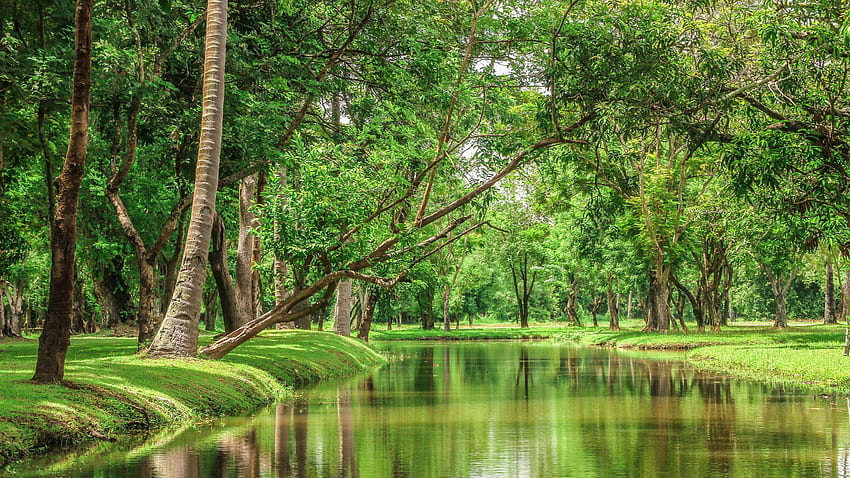 Красива природна река в зелено [] за вашия мобилен телефон и таблет. Разгледайте. , iMac Retina, 5120X2880 Природа HD тапет