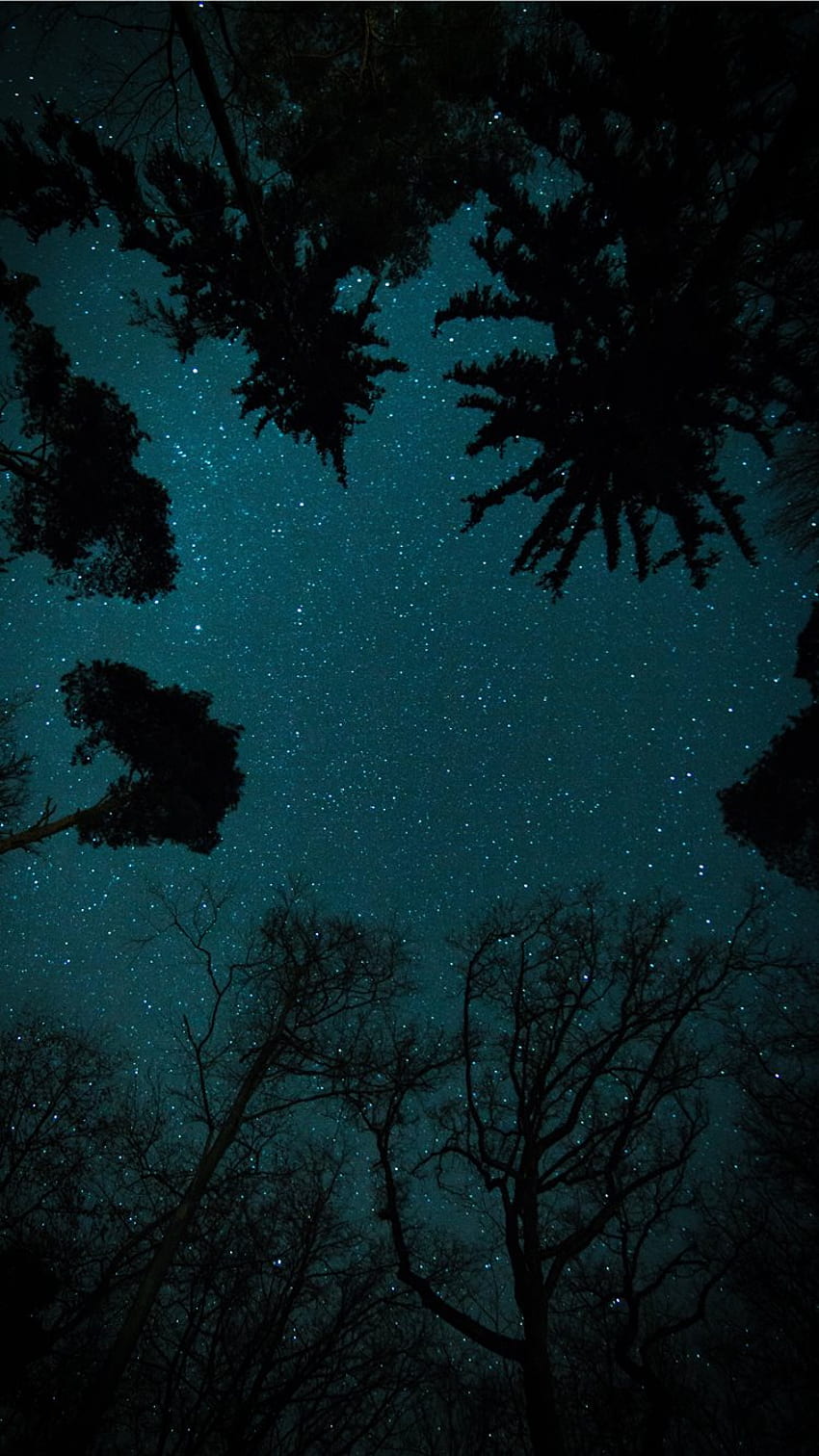 별이 빛나는 하늘 아래 나무 iPhone 8 , 깊은 의미 HD 전화 배경 화면