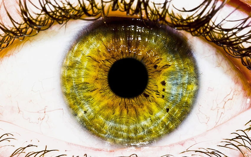 Green Eye . Green Eye stock HD wallpaper | Pxfuel