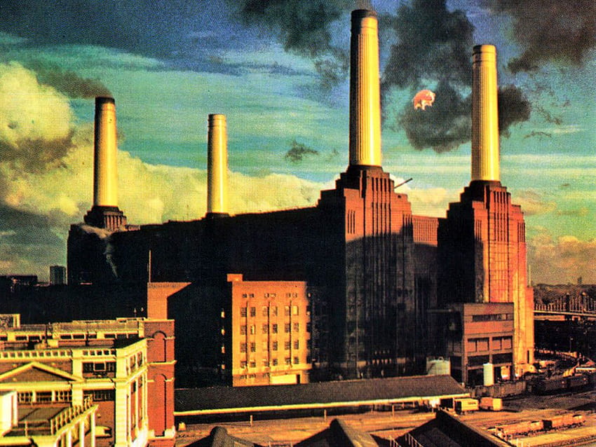 181 Pink Floyd Animals Stock Photos High Res Pictures and Images  Getty  Images