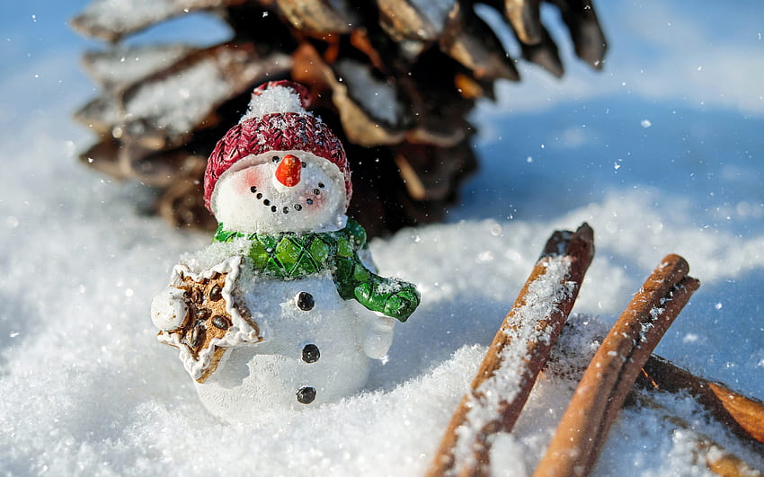 休日、正月、雪、雪だるま、シナモン、クリスマス、コーン、バンプ 高画質の壁紙