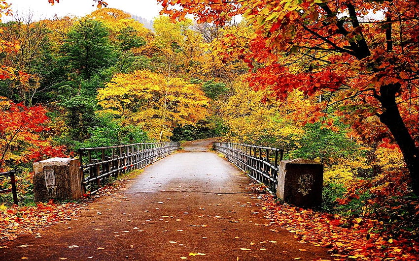 Paysage de beauté d'automne 2166 - Nature, automne haute résolution Fond d'écran HD