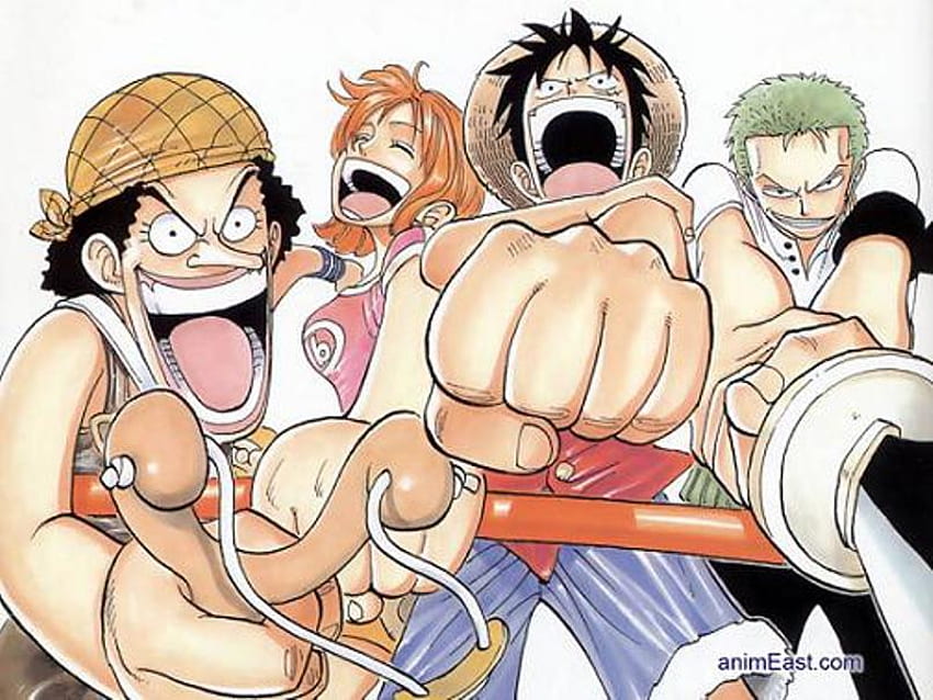 One Piece, nami, sanji, girubatto, chopper, luffy, usoppe, anime, zoro, robin HD wallpaper